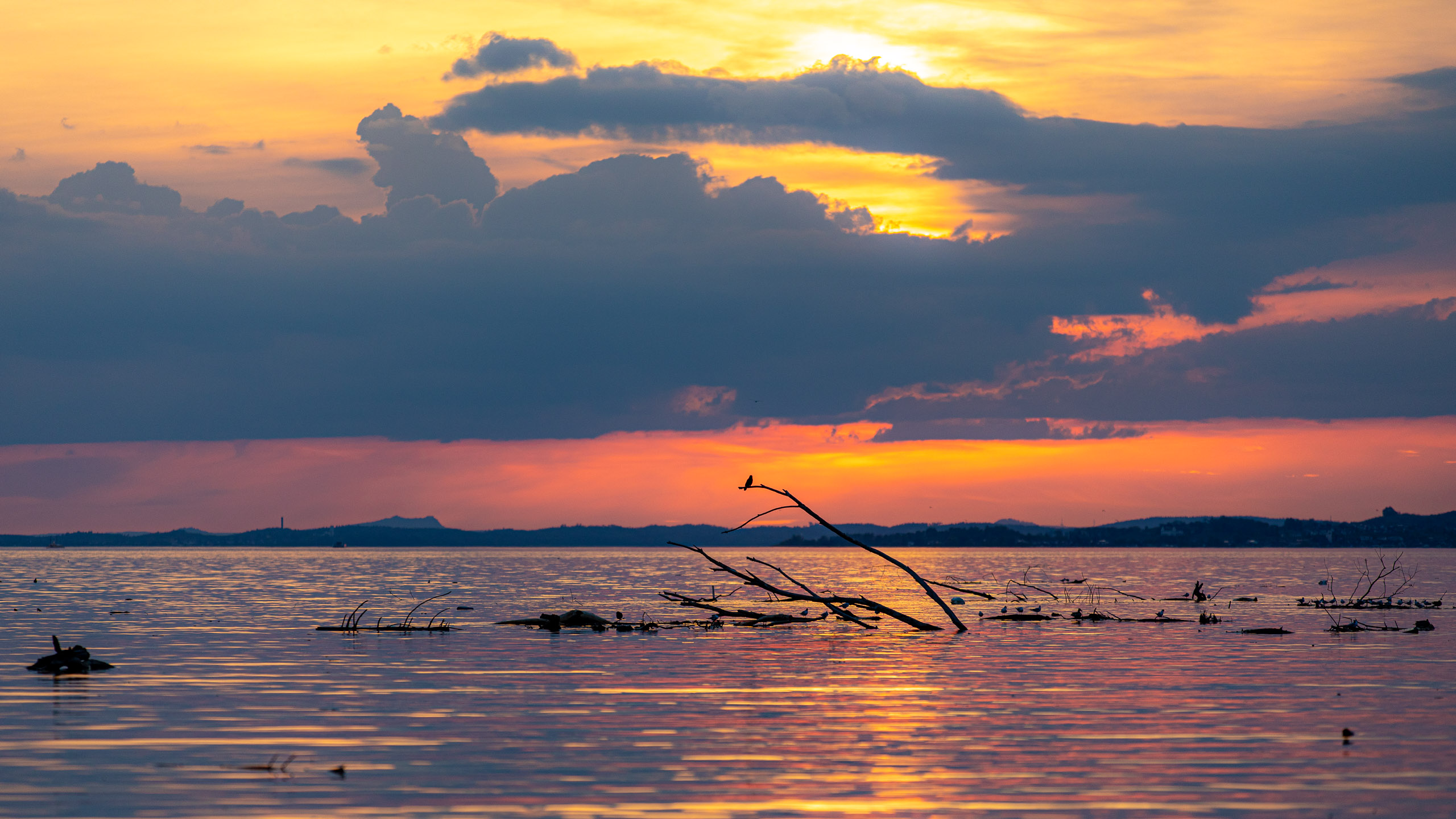 20230506202104 RD4 3924